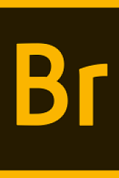 Adobe Bridge CC 2019 v9.0.2 Multilingual (macOS)