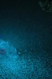Sonic Prime S01E05 XviD-AFG EZTV