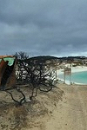 Desert Vet S02E01 480p x264-mSD EZTV
