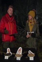 Winterwatch S10E06 480p x264-mSD EZTV