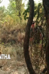 Naked and Afraid S17E01 480p x264-mSD EZTV