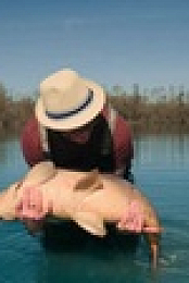 Monster Carp S06E04 XviD-AFG EZTV