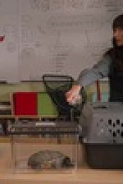 Animal Control S01E10 XviD-AFG EZTV