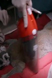 Inside Taronga Zoo S02E05 480p x264-mSD EZTV