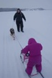 Life Below Zero Canada S02E05 XviD-AFG EZTV