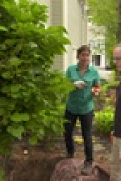 Ask This Old House S19E28 1080p WEB h264-BAE EZTV