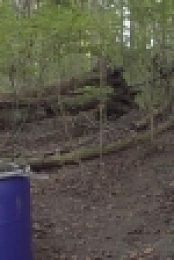 Moonshiners S07E13 WEB x264-TBS[eztv]