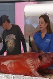 BBQ USA S02E06 480p x264-mSD EZTV