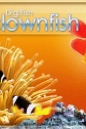 DigiFish Clownfish v.1.0 Screen saver