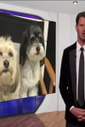 Tosh 0 S12E01 480p x264-mSD EZTV