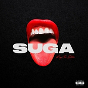 Megan Thee Stallion - Suga (2020) Mp3 (320kbps) [Hunter]