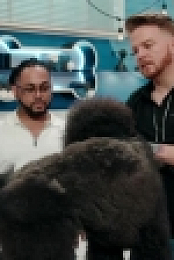 Pooch Perfect US S01E02 XviD-AFG EZTV