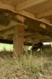 Building Alaska S04E04 Bear Attack 720p WEB x264-APRiCiTY [eztv]