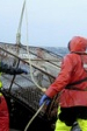 Deadliest Catch S19E15 720p WEB h264-CBFM EZTV