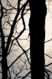 Outlander S04E09 720p WEB x265-MiNX EZTV