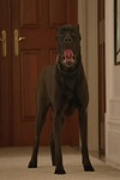 Animal Control S01E08 480p x264-mSD EZTV