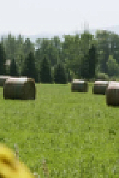 Building Outside the Lines S01E05 XviD-AFG EZTV
