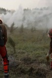 Fire Country S01E05 480p x264-mSD EZTV