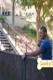 Lucky Dog S07E16 Ash 480p x264-mSD [eztv]