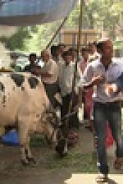 Rick Steins India S01E02 XviD-AFG EZTV