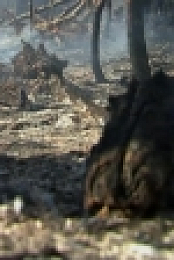 Mountain Men S06E16 WEB h264-TBS[eztv]