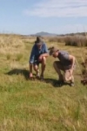 Gardening Australia S31E02 480p x264-mSD [eztv]