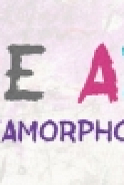THE ART - Metamorphosis