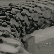 Triarii Discography (2004-2011) [MP3 192-320 kbps]