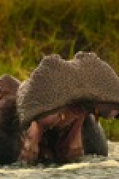 Big Beasts S01E05 720p WEB H264-CAKES EZTV