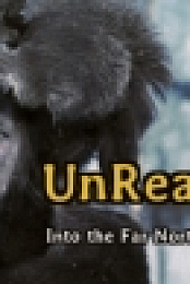 UnReal World v3.60 Beta
