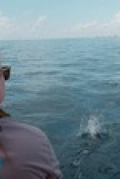When Sharks Attack And Why S01E03 720p WEB h264-EDITH EZTV