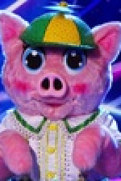 The Masked Singer S05E12 720p WEB h264-BAE EZTV