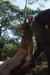 Rewilding S01E03 iNTERNAL 2160p UHDTV H265-CBFM EZTV