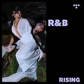 VA - R&B_ RISING - 17-07.2026.FLAC.[16bit.44.1khz]-EICHBAUM