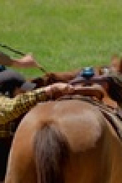 Relatively Famous Ranch Rules S01E06 720p WEBRip x264-WEBTUBE EZTV