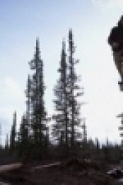 Life Below Zero S13E08 720p WEB x264-TBS [eztv]