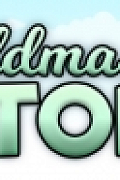 Guildmaster Story
