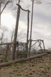 Homegrown S01 DSCP WEBRip x264-ION10 EZTV
