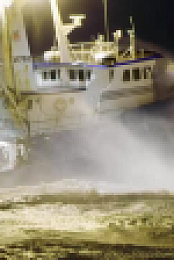Deadliest Catch S20E14 XviD-AFG EZTV
