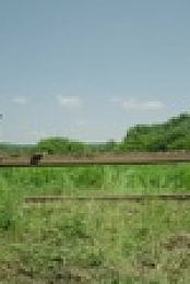 Barnwood Builders S16E02 1080p WEBRip x264-CBFM EZTV