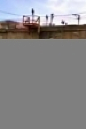 Howie Mandels Animals Doing Things S02E02 720p WEB x264-TBS [eztv]