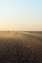 Outback Ringer S02E03 XviD-AFG EZTV