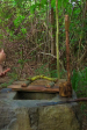 Survivor S47E02 1080p WEB h264-EDITH EZTV