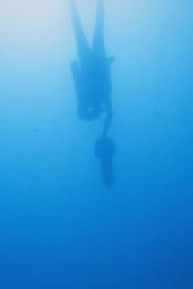 The Bermuda Triangle Into Cursed Waters S02E09 480p x264-mSD EZTV