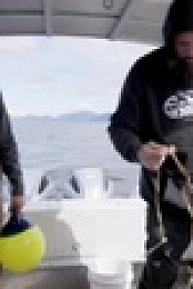 Life Below Zero Next Generation S05E08 XviD-AFG EZTV