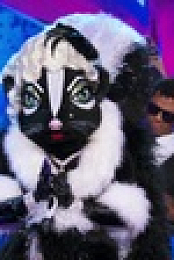 The Masked Singer S06E04 XviD-AFG EZTV