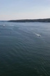 Wicked Tuna S12E07 720p WEB h264-EDITH EZTV
