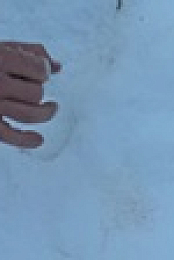 Mountain Men S11E06 XviD-AFG EZTV