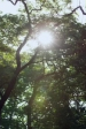 Ancient Unexplained Files S01 720p SCI WEBRip AAC2 0 x264-BOOP EZTV