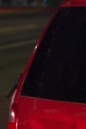 Cops S32E28 Gun in the Gutter 480p x264-mSD [eztv]